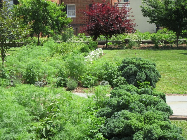 yard view.jpg