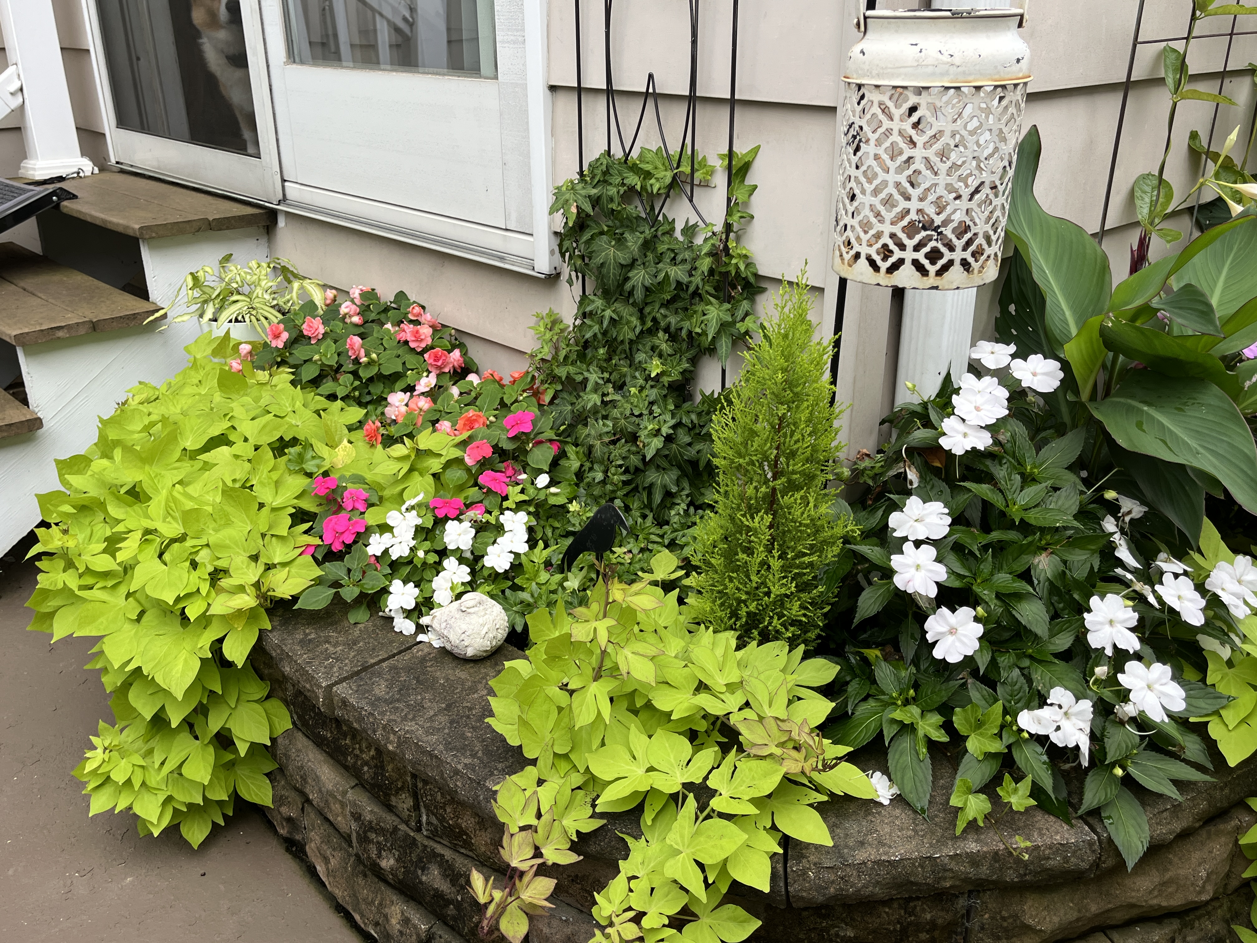 front corner.JPG